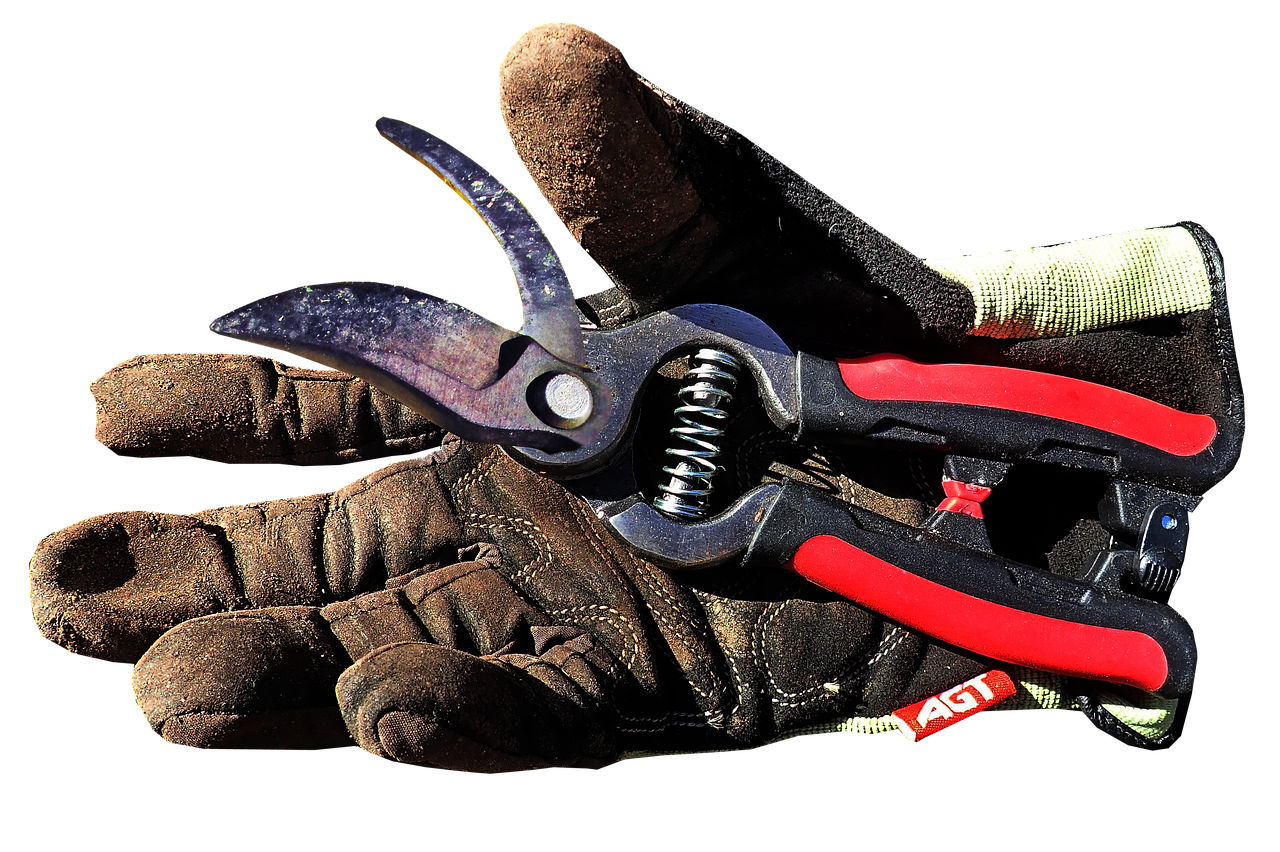 gardening, work, glove-3622863.jpg